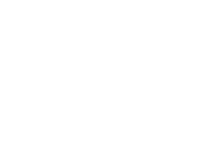 Solid Rock International