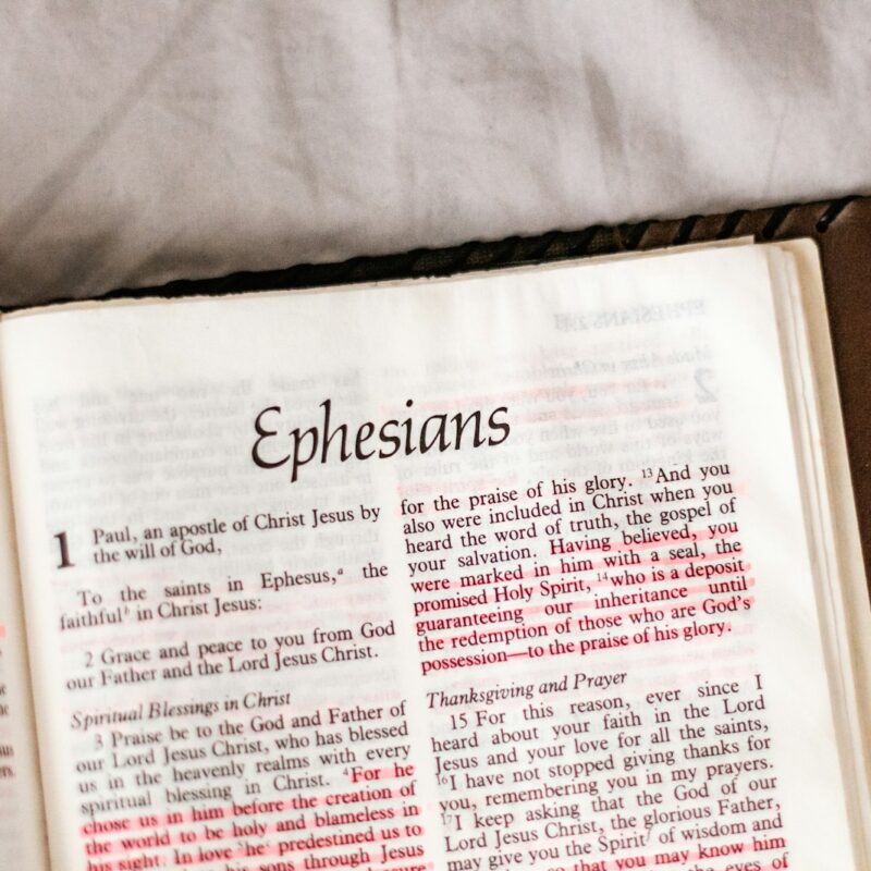 the new york times book